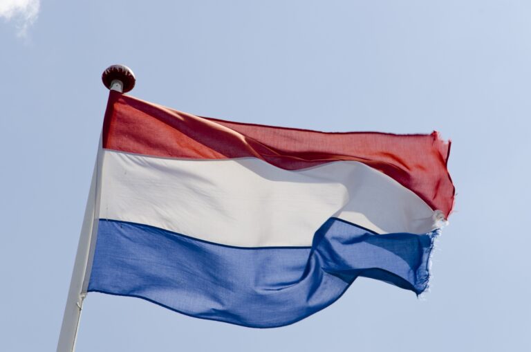 Read more about the article Press release: General elections in The Netherlands